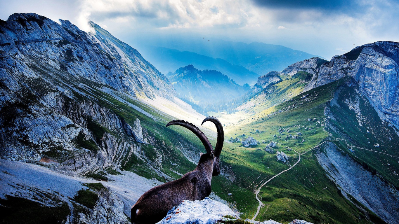 Sfondi Mountains and Mountain Goat 1366x768
