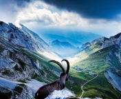 Fondo de pantalla Mountains and Mountain Goat 176x144