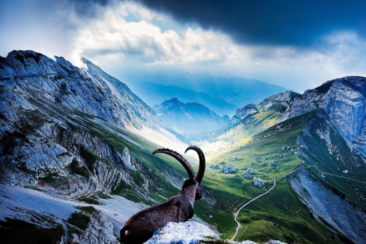 Fondo de pantalla Mountains and Mountain Goat