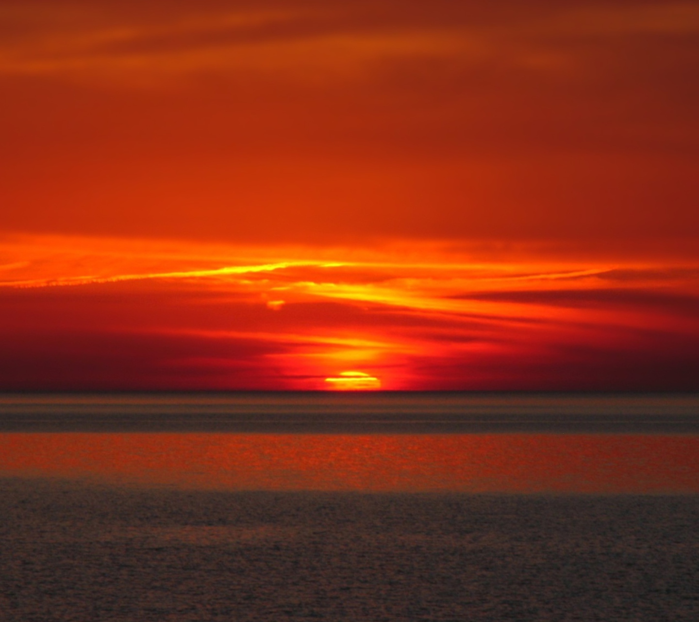 Bloody Sunset screenshot #1 1440x1280