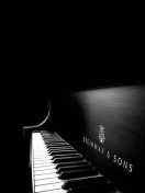 Screenshot №1 pro téma Steinway Piano 132x176