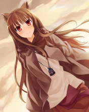 Das Smile Spice And Wolf Wallpaper 176x220