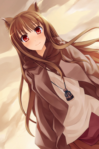 Smile Spice And Wolf wallpaper 320x480