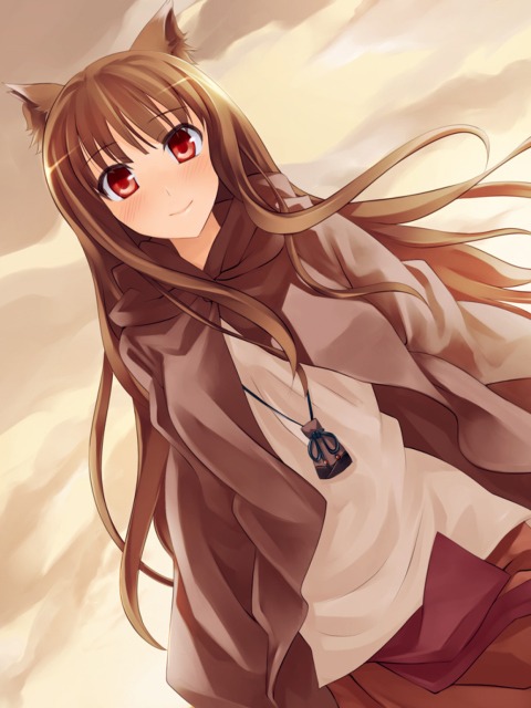 Fondo de pantalla Smile Spice And Wolf 480x640