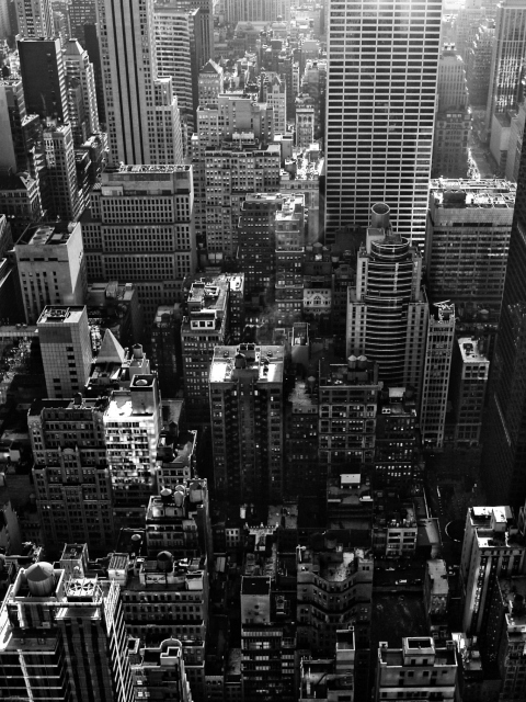 New York City screenshot #1 480x640