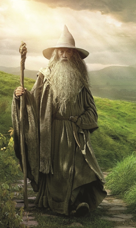Gandalf - Lord of the Rings Tolkien wallpaper 480x800