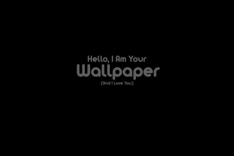 Fondo de pantalla Hello I Am Your Wallpaper 480x320