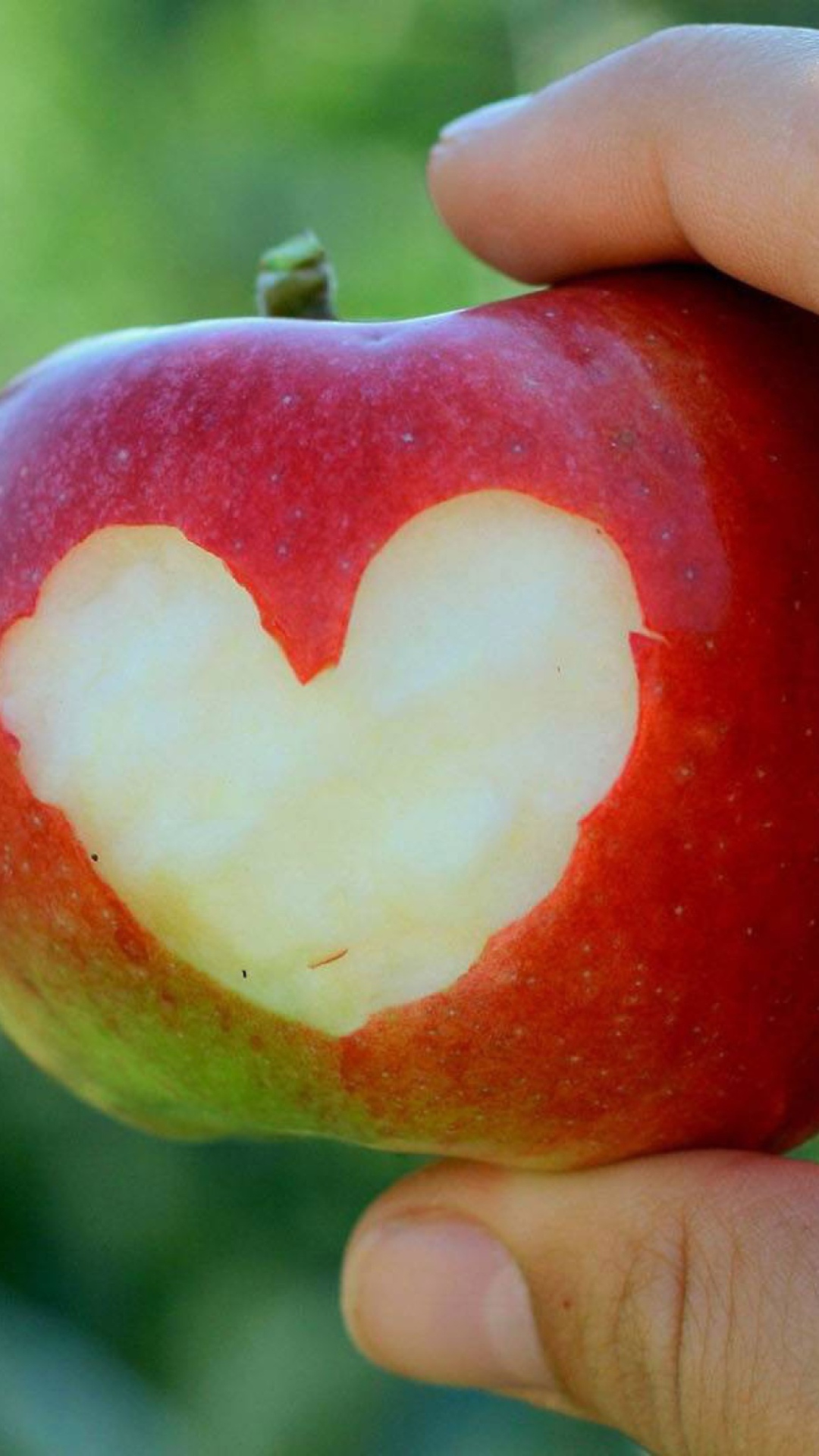 Das Heart On Apple Wallpaper 1080x1920