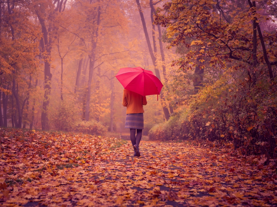 Обои Autumn Walk With Red Umbrella 1152x864