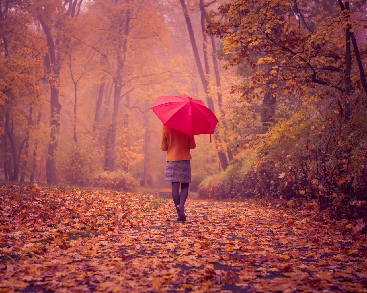 Screenshot №1 pro téma Autumn Walk With Red Umbrella 1280x1024