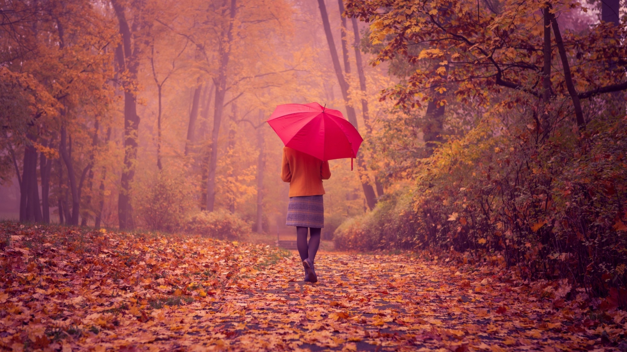 Das Autumn Walk With Red Umbrella Wallpaper 1280x720