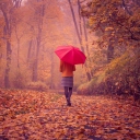 Das Autumn Walk With Red Umbrella Wallpaper 128x128