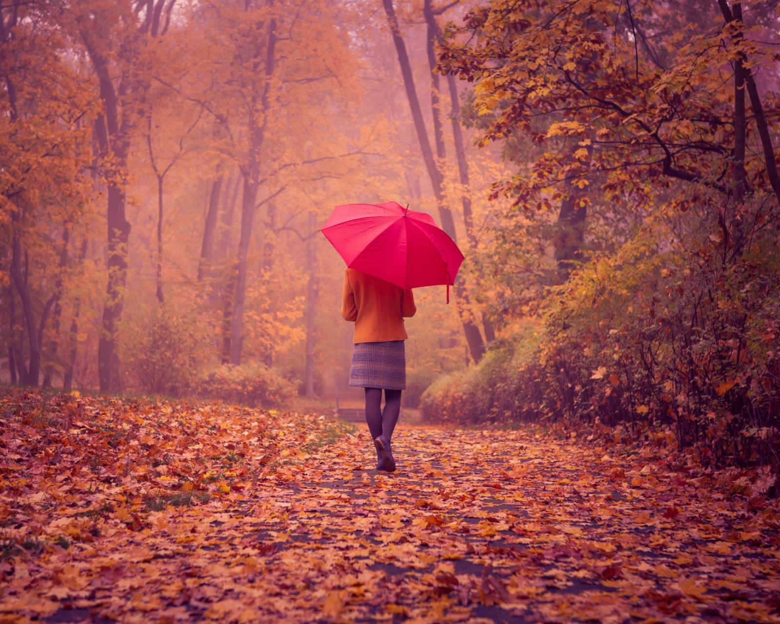 Autumn Walk With Red Umbrella wallpaper 1600x1280