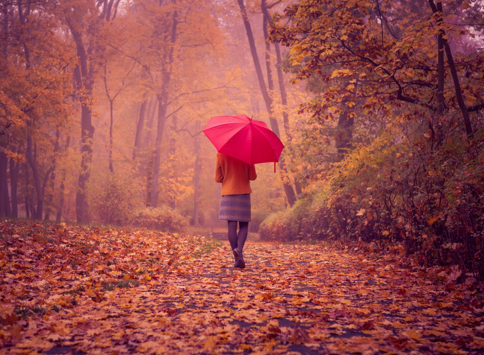 Обои Autumn Walk With Red Umbrella 1920x1408