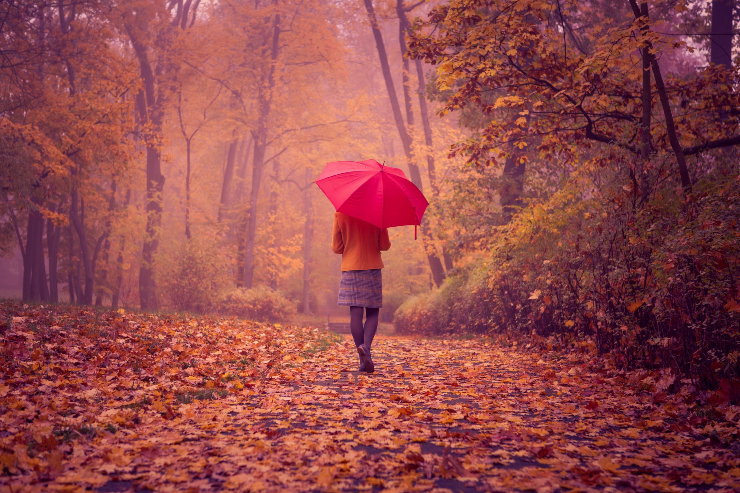 Das Autumn Walk With Red Umbrella Wallpaper 2880x1920