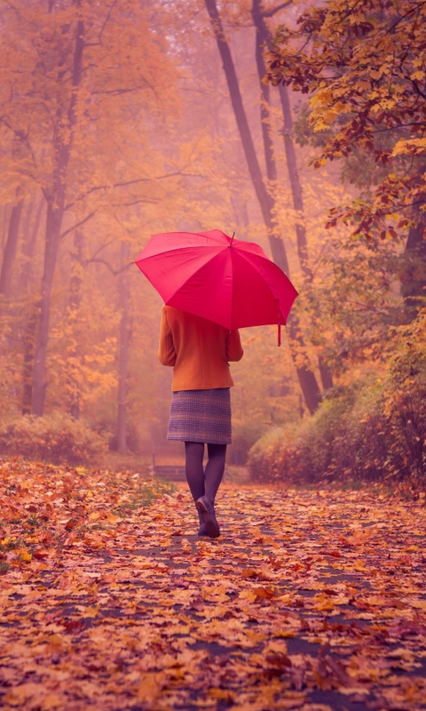 Autumn Walk With Red Umbrella wallpaper 480x800