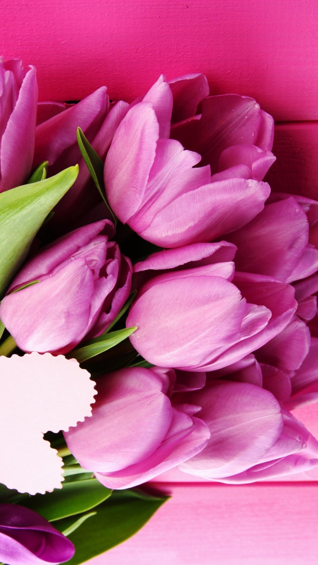 Purple Tulips wallpaper 640x1136