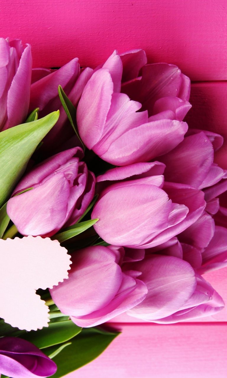 Purple Tulips wallpaper 768x1280