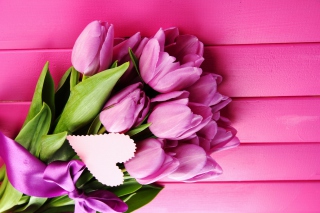 Purple Tulips - Obrázkek zdarma 