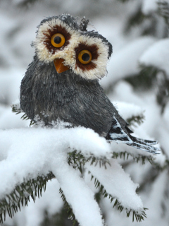 Funny Fluffy Eyes Owl screenshot #1 240x320