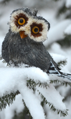 Обои Funny Fluffy Eyes Owl 240x400