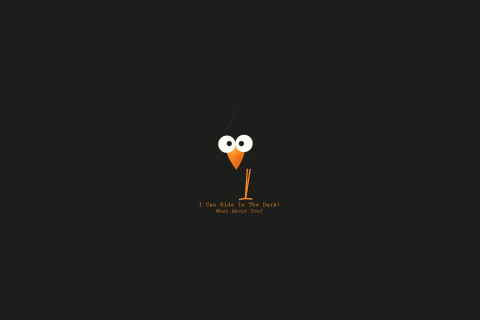 I Can Hide In The Dark wallpaper 480x320