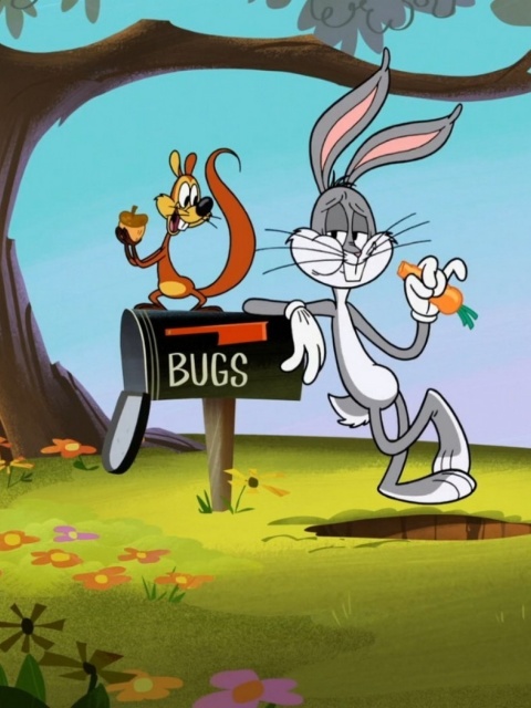 Bugs Bunny Cartoon Wabbit wallpaper 480x640