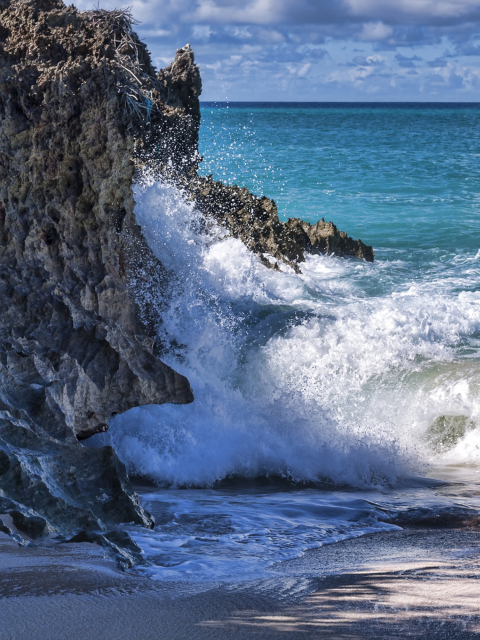 Fondo de pantalla Rocks And Ocean Waves 480x640