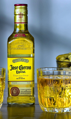 Обои Tequila Jose Cuervo Especial Gold 240x400