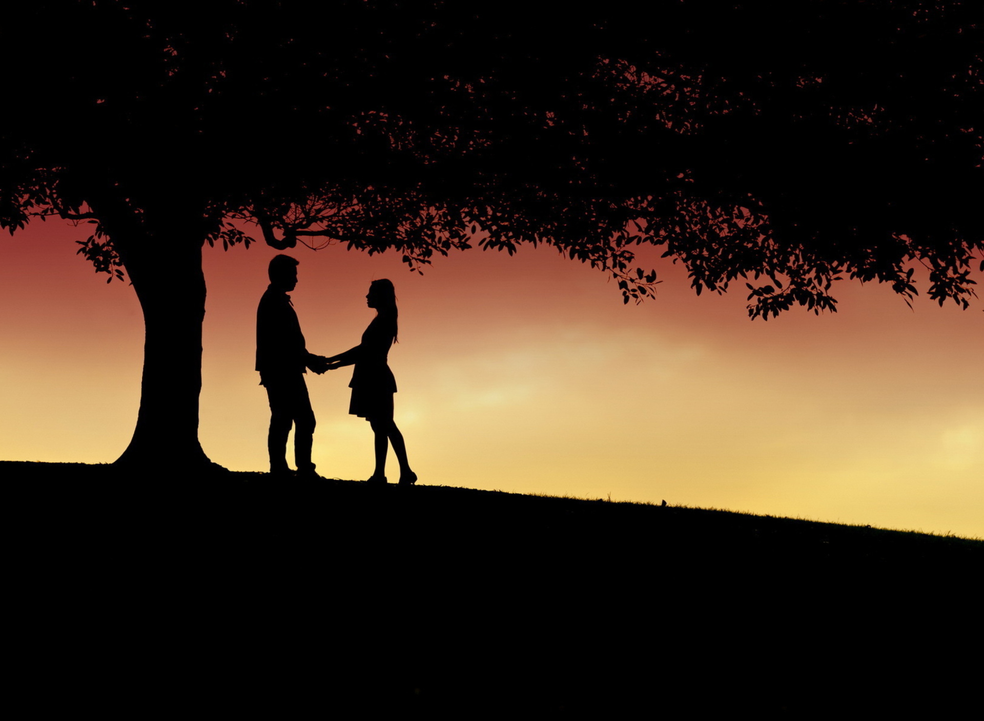 Fondo de pantalla Romantic Silhouettes 1920x1408