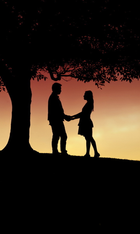 Das Romantic Silhouettes Wallpaper 480x800