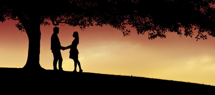 Screenshot №1 pro téma Romantic Silhouettes 720x320