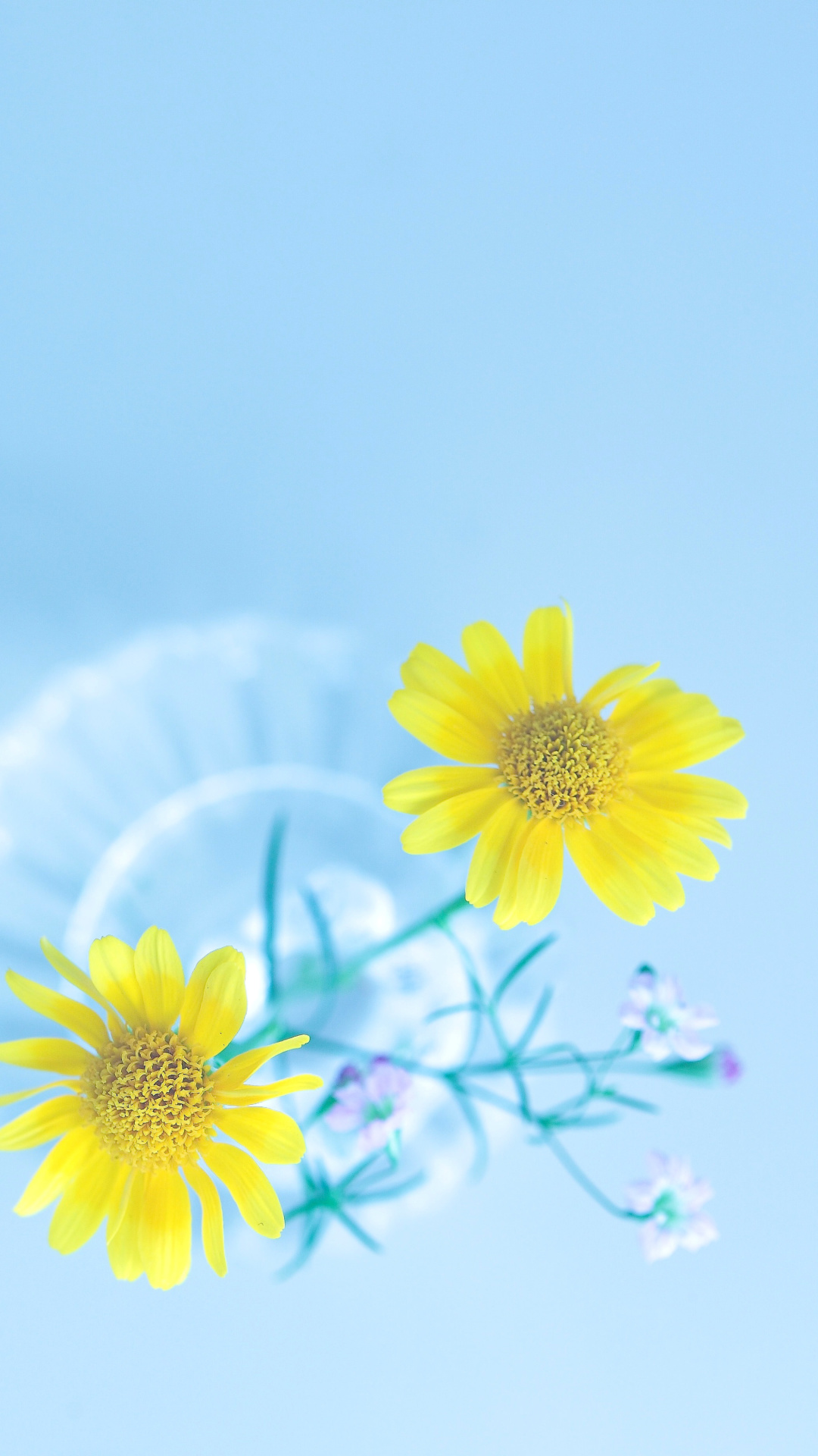 Simple flower in vase wallpaper 1080x1920