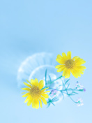 Simple flower in vase screenshot #1 132x176