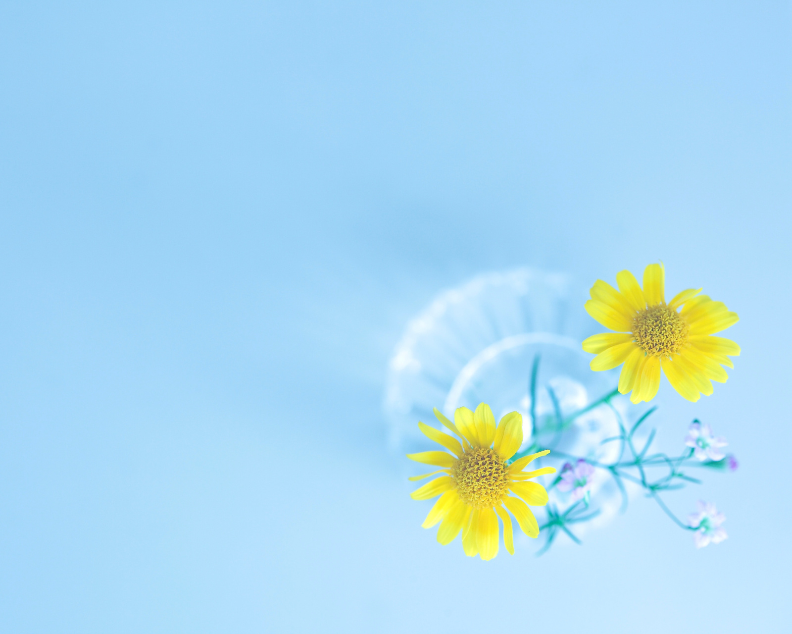Simple flower in vase screenshot #1 1600x1280