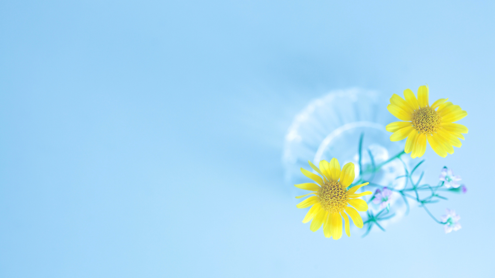 Das Simple flower in vase Wallpaper 1600x900