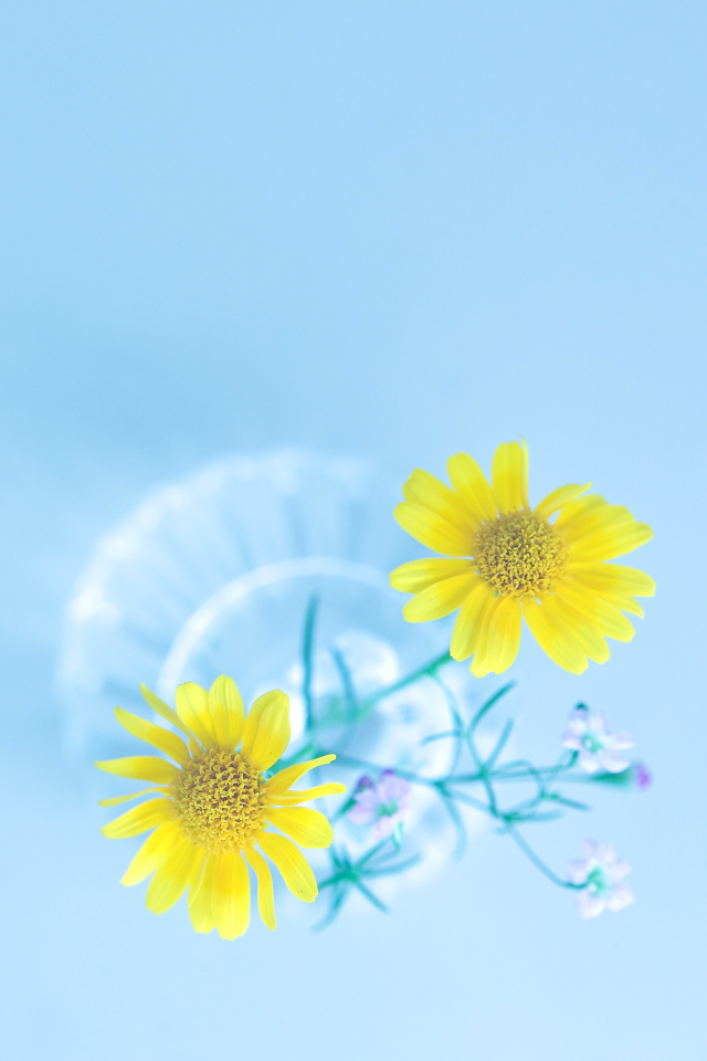 Simple flower in vase wallpaper 640x960