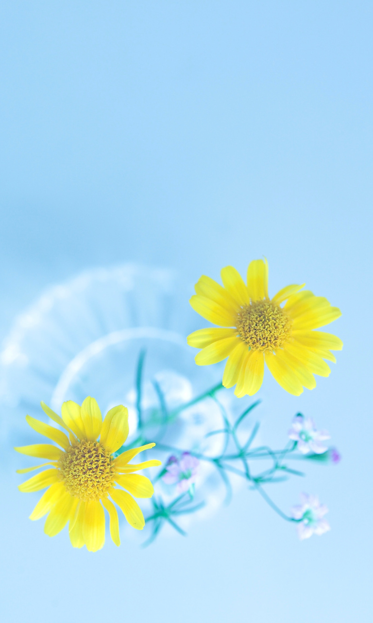 Simple flower in vase wallpaper 768x1280