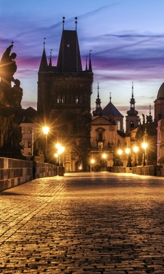 Prague Charles Bridge screenshot #1 240x400