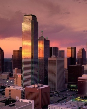 Dallas - Texas screenshot #1 176x220