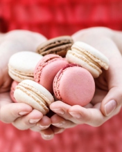 Das Pink Macarons Wallpaper 176x220