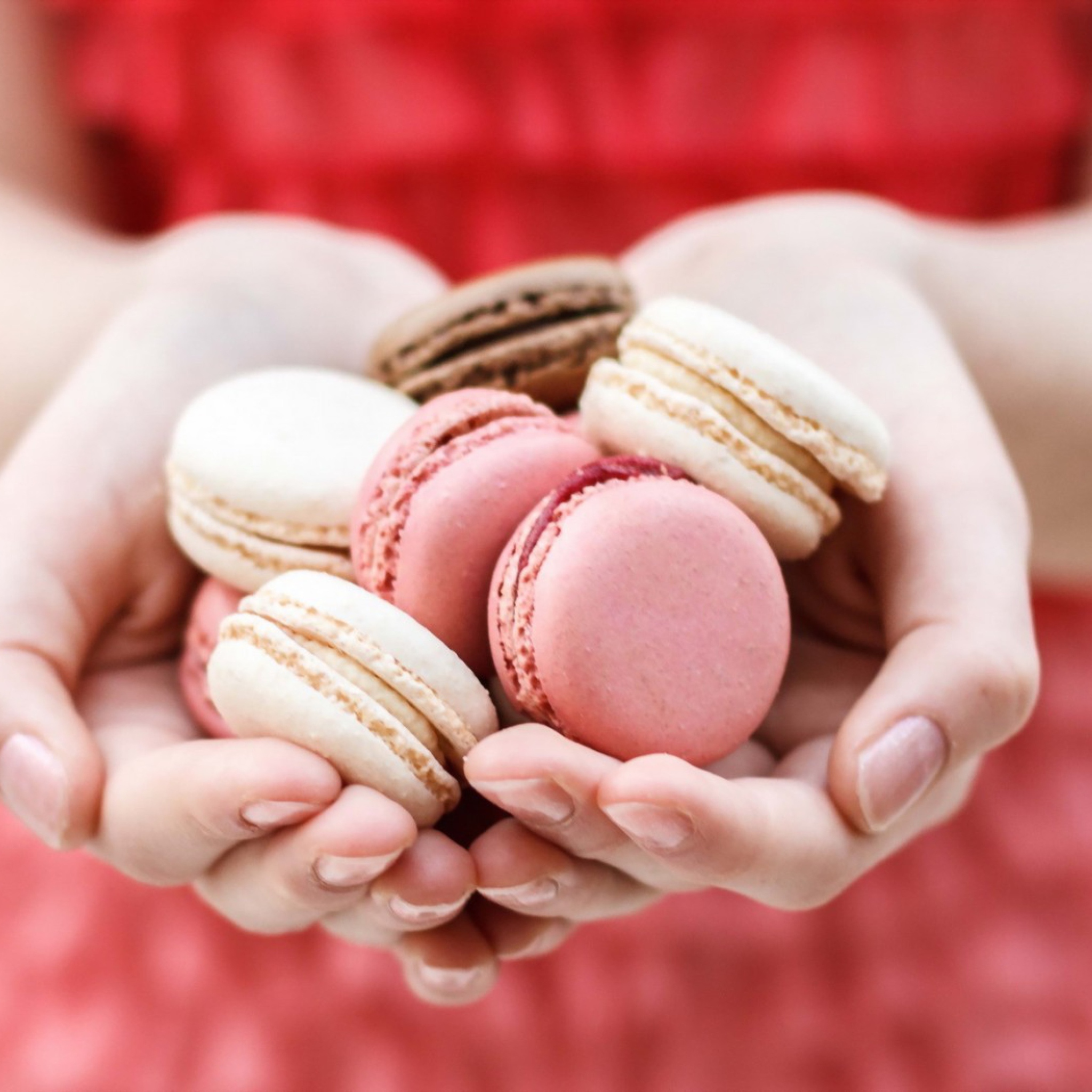 Das Pink Macarons Wallpaper 2048x2048