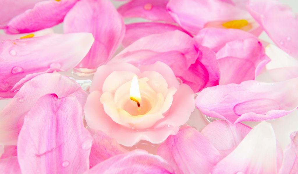 Fondo de pantalla Candle on lotus petals 1024x600