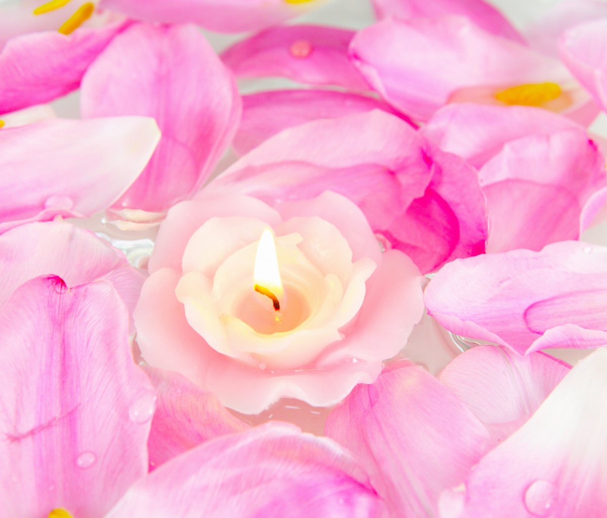 Candle on lotus petals wallpaper 1200x1024