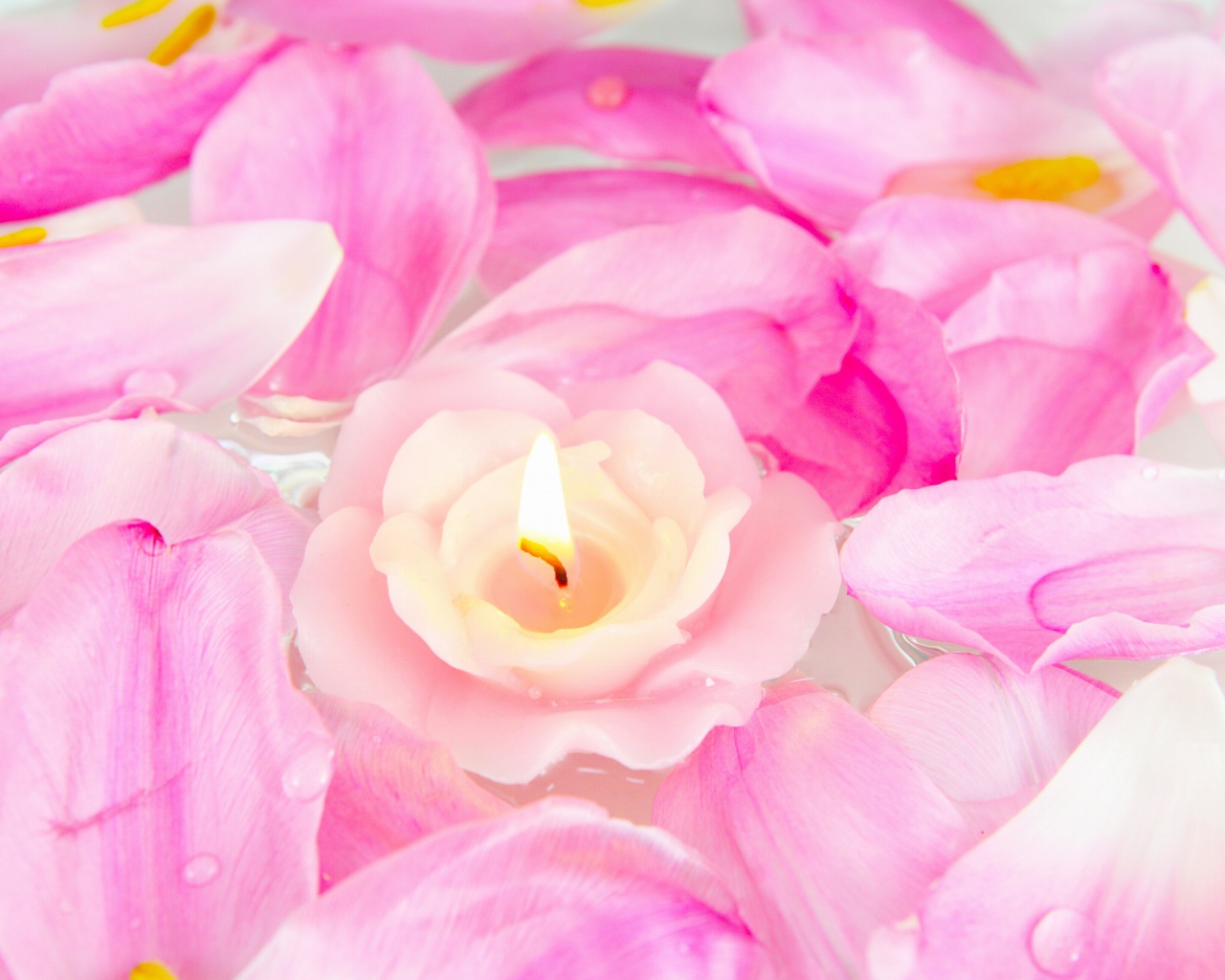 Das Candle on lotus petals Wallpaper 1280x1024