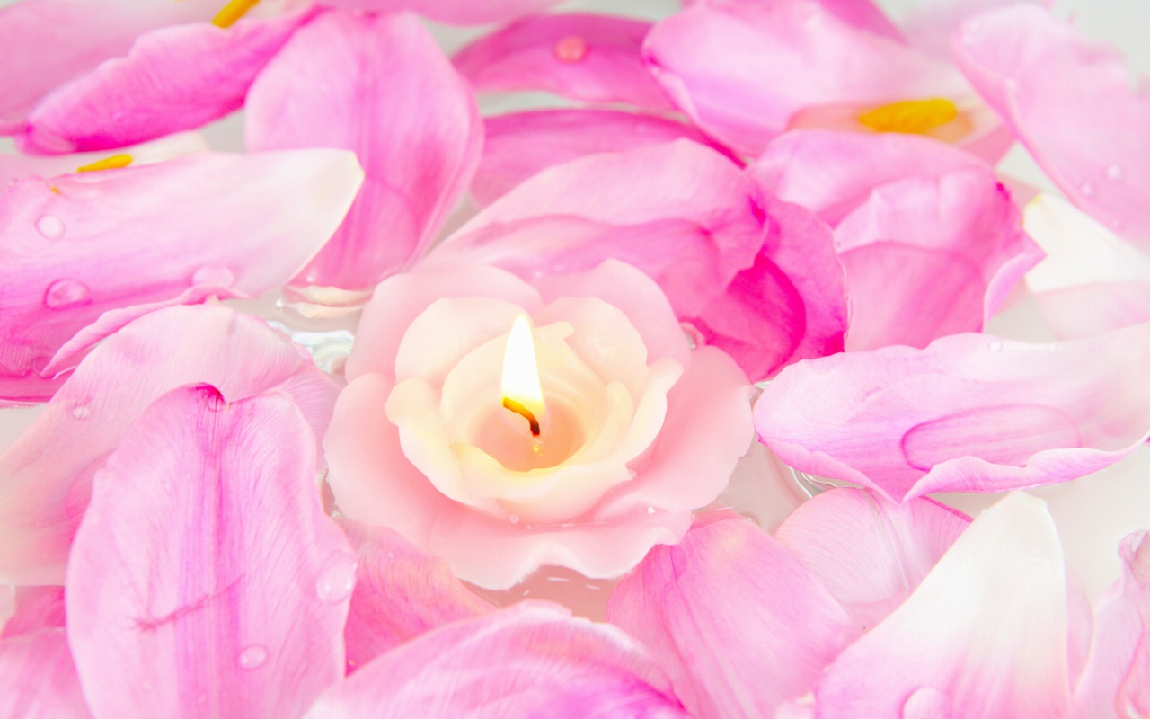 Candle on lotus petals wallpaper 1280x800