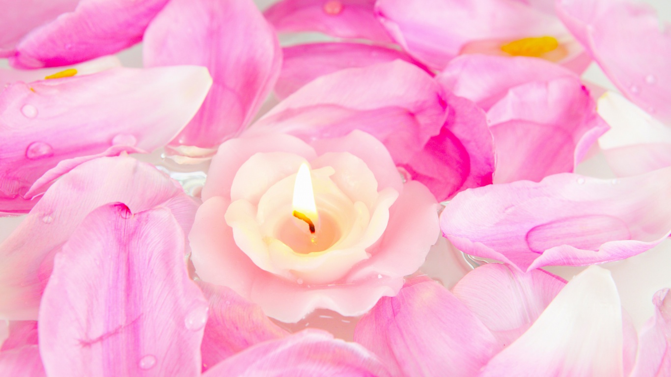 Candle on lotus petals wallpaper 1366x768