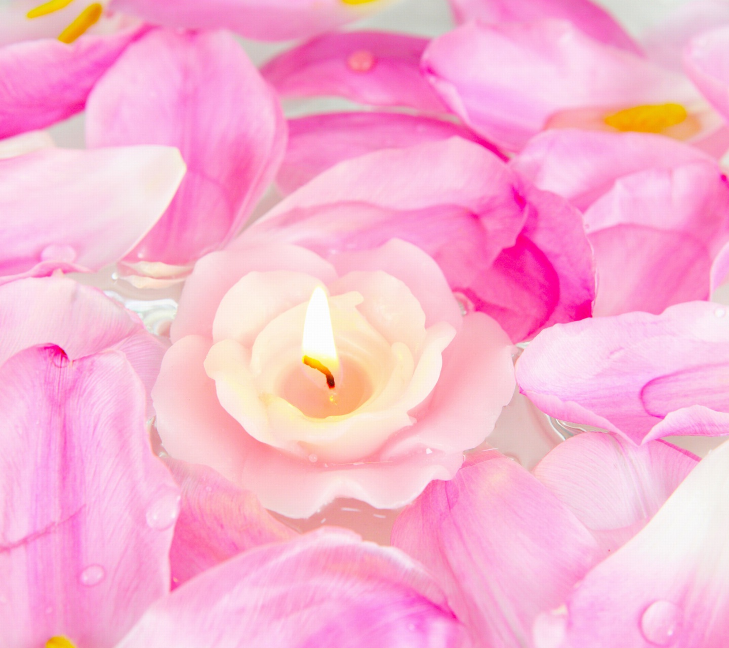Candle on lotus petals screenshot #1 1440x1280
