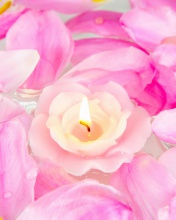 Candle on lotus petals wallpaper 176x220