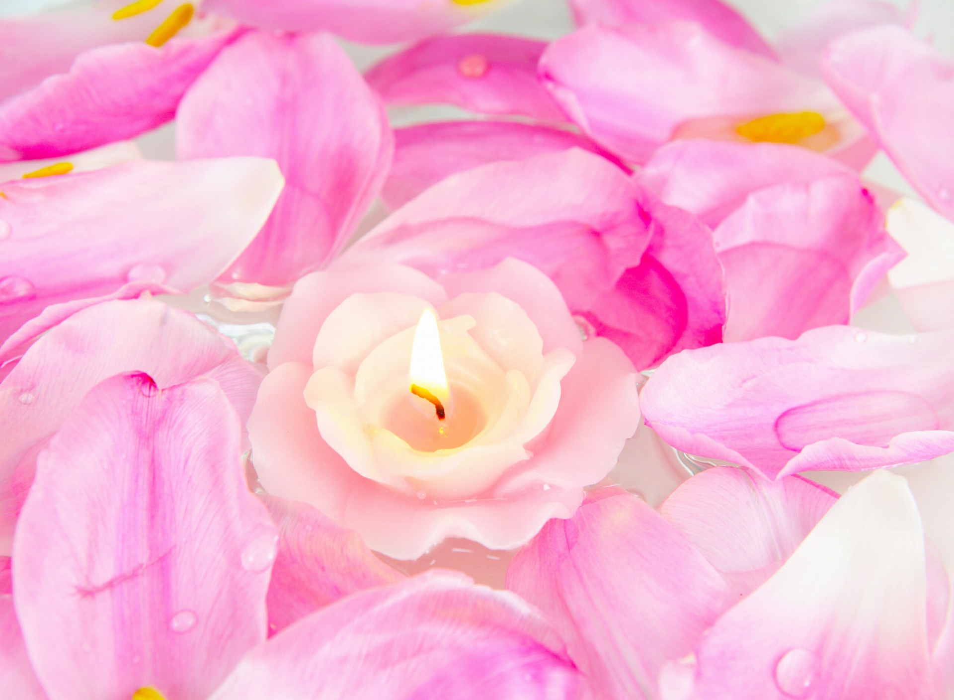 Fondo de pantalla Candle on lotus petals 1920x1408